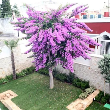 Villa Katerin *
